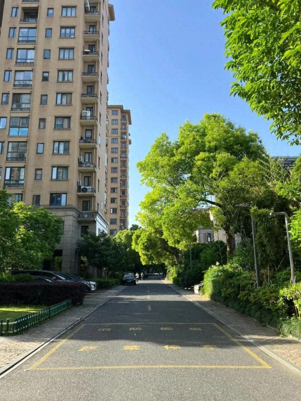 速盈所 为啥“宁空不租”现象越来越普遍？过来人说出了大实话，太难了
