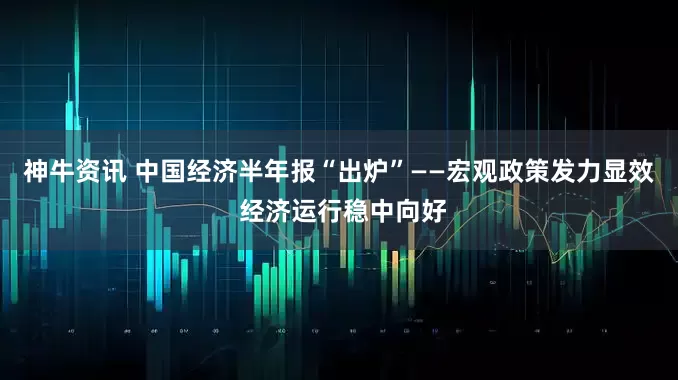 神牛资讯 中国经济半年报“出炉”——宏观政策发力显效 经济运行稳中向好