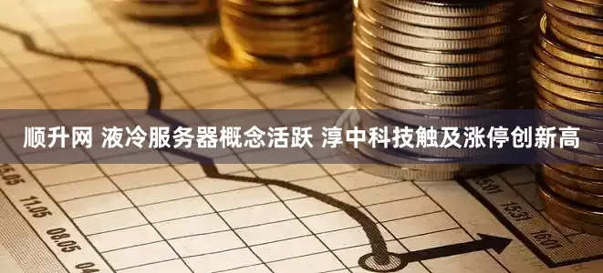 顺升网 液冷服务器概念活跃 淳中科技触及涨停创新高