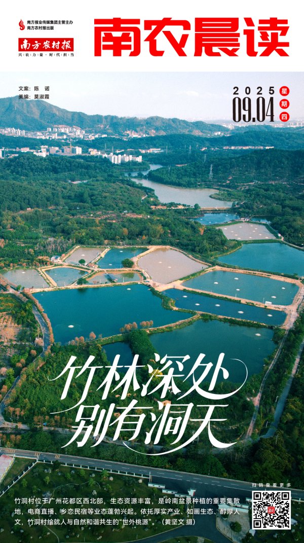 信通实盘 南农晨读 | 竹林深处 别有洞天