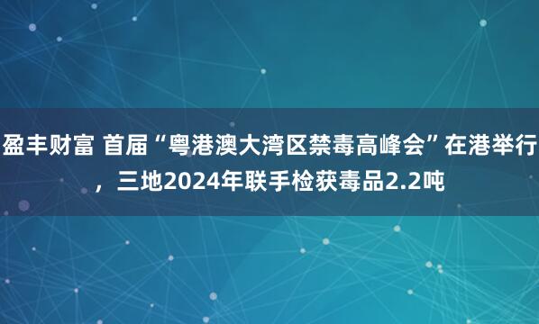 盈丰财富 首届“粤港澳大湾区禁毒高峰会”在港举行，三地2024年联手检获毒品2.2吨