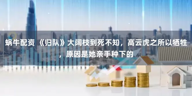蜗牛配资 《归队》大阔枝到死不知，高云虎之所以牺牲，原因是她亲手种下的
